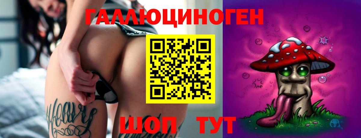 Галлюциногенные грибы Cubensis Новомосковск