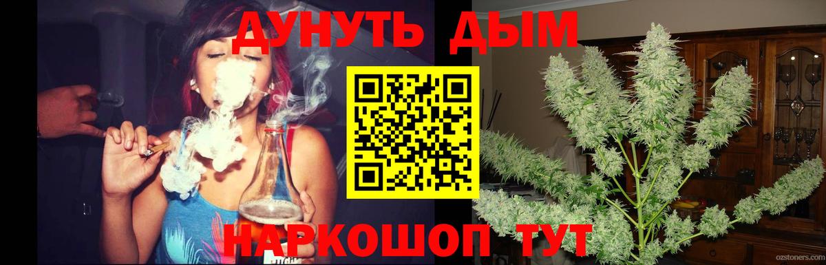 Канабис сатива Новомосковск